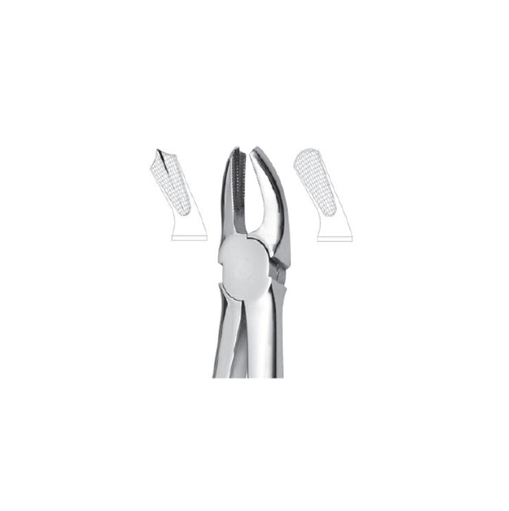 EXTRACTION FORCEPS - MOLARS – Main Orthodontics